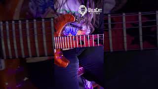 Friendly Fire! Elizabeth Alcaraz - Visit https://wildcatguitars.com/