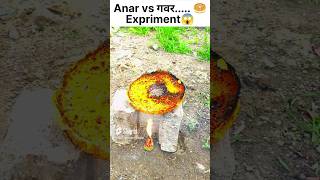 घेवर vs Amar Experiment 😱 video #shorts #youtubeshorts