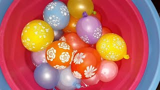 Balloon Asmr - Fun Water Balloons Pop part 10!!! balloon pops #satisfying #asmr #funny