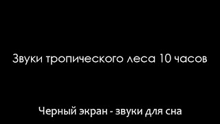 Звуки тропического леса 10 часов