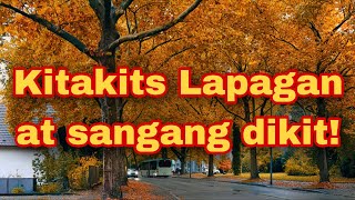 Kitakits Lapangan at Sangang dikit!