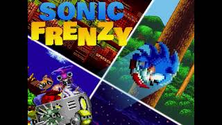 sonic frenzy full gameplay