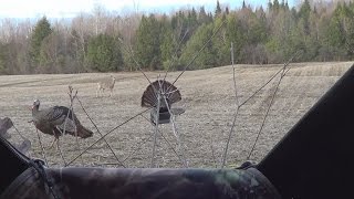 Incroyable doublé de dindons