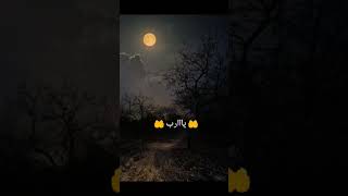 ١ نوفمبر، ٢٠٢٤