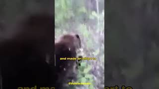 MAN KICKS BEAR and regrets it