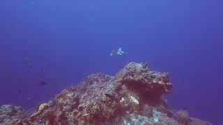 Cozumel 2022 - Dive 7, Columbia Pinnacles