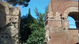 Wandering around Palatine Hill