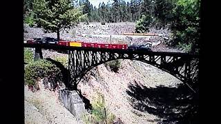 #543 through the woods on the snake river railroad 06ish