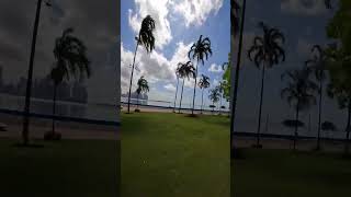 Mirador del pacífico, Panamá city #panama #gopro10 #walkingtours #tour #visitpanama #shorts #video