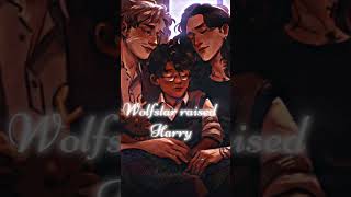 What if…#harrypotter #marauders #booktok #foryou