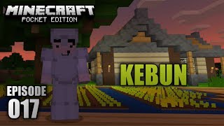 Survival Ep.17 - Gudang, dan Kebun - Minecraft PE (Pocket Edition) Indonesia