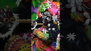 hare Krishna #krishna #krishnalove #radheradhe #radhakrishna #radhe #radha