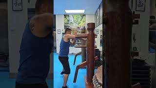 108 Wooden Dummy #2 / Wing Chun / Sifu Freddie Lee