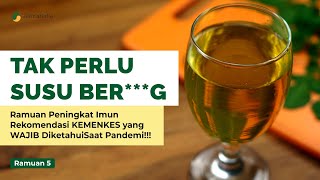 Ramuan Peningkat Imun Rekomendasi KEMENKES (5) #emponempon #dayatahantubuh #imunbooster #kemenkes