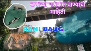 Byculla Zoo Mumbai | Complete Guide to Rani Baug | Rani Bagh 2024 | Mumbai Zoo #ranibagh #marathi