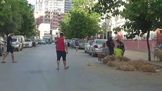 Driving car - Annaba Algeria - #algeria #annaba #driving