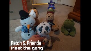 Fetch & Friends Pilot Episode: Meet The Gang