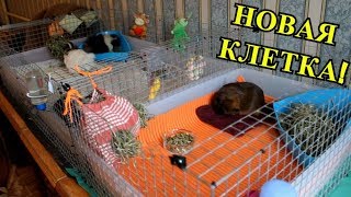 НОВАЯ КЛЕТКА! | РАСПАКОВКА И СБОРКА | PetMania