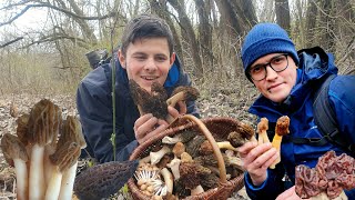 Morcheln ohne Ende, paradiesische Pilze im April!