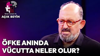 Sinirlendiğimizde Bedenimizde Neler Olur? | Sinan Canan İle Açık Beyin