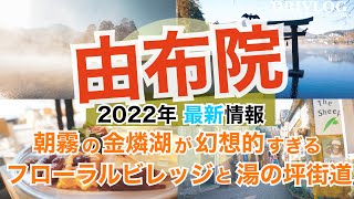 【国内旅行】 由布院旅　早起きしないと絶対見れない光景！最強パワースポットを朝食しながら眺めて 湯の坪街道も堪能