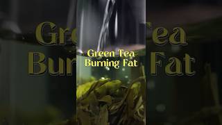 #GreenTea for #FatLoss 🍵💚 #WeightLossTips #HealingGuide #facts