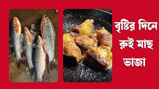 বৃষ্টির দিনে তাজা রুই মাছ ভাজা খেতে কি মজা | Rui Fish Fry | Rui Fish Fry Receipe