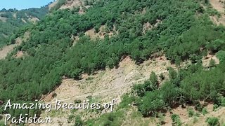 Beautiful Village of Murree Pakistan | Beautiful Murree Pakistan June 2022