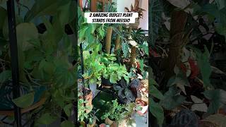 Meesho - budget plant stands | 3 tier and vertical plant stand | creative way to style your balcony