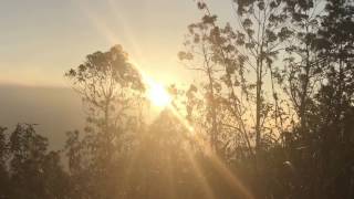 Sunrise view from Mini Adam's Peak (aka Little Adam's Peak) - Sri Lanka | iPhone 7 Plus 4K Movie