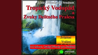 Vydatný Déšť a Hrom z Montany: zvuky přírody (90 Minut: Zvláštní Vydání)