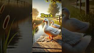 Learn English: Meet the Friendly Duck! 🦆 | Fun Vocabulary for All Ages