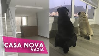 🏡 TOUR PELA CASA NOVA DO  TU E CACAU [VAZIA]