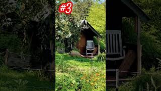 Top 5 Sheds at our Allotment #top5 #shedlife #allotment #garden