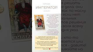 💰 КАРТА ДНЯ 24 ИЮЛЯ #картытаро #таро #tarot #shorts