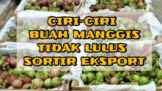 Ciri-ciri Buah Manggis Tidak Lulus Eksport ( Manggis BS )