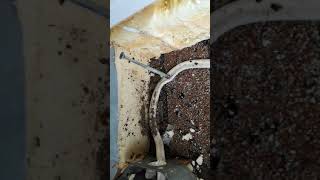 How to not burn your house down! Don't Put Electrical Wire Behind Foamboard