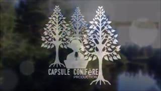 Capsule Conifère