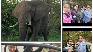 kaziranga te giye ki ki animals dekhechi