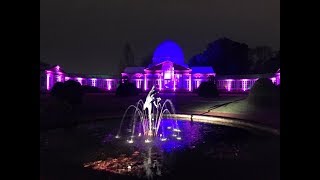 Illuminated Syon Park House Conservatory - Enchanted Woodland 2019 #syonpark #london