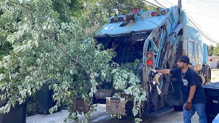 Chicago Loadmaster Rear Loader Garbage Truck Packing a Tree