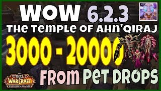 WoW - Temple of Ahn'Qiraj Raid Pet Gold Farm - 3000 to 20000 Gold from Pets