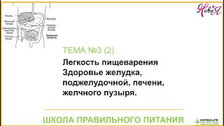 Школа Питания : Тема : здоровье желудка, поджелудочной, печени , жёлчного пузыря