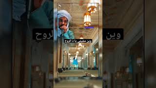 ساداتنا رجال الله المنشد يوسف زرقون #قصيدة #أمداح_نبوية #الزاوية #لايك