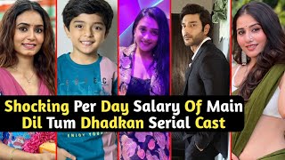 Shocking Per Day Salary Of Main Dil Tum Dhadkan Serial Cast | Vrinda | Keshav | TM