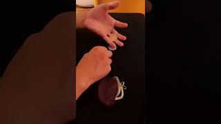 Coin Magic transformation - Wild Coin II #cointricks #magichands