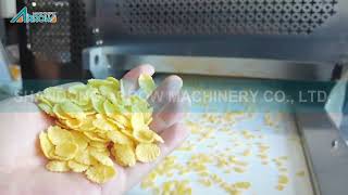 Corn flakes food food extruder machine