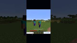 Eu e Meu Mano no Minecraft 284