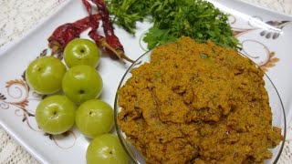 AWLA CHUTNEY | चटपटी आवला चटनी | HOMEMADE INSTANT RECIPES