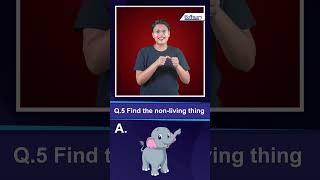 Boonary Foundation Quick Quiz | Find the non-living thing | Short Fun Questions for Deaf in ISL